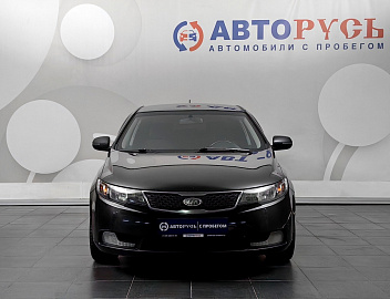 Cerato