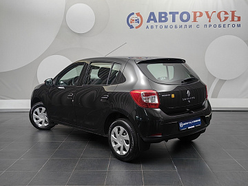 Sandero