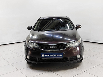 Cerato