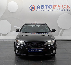 Cerato
