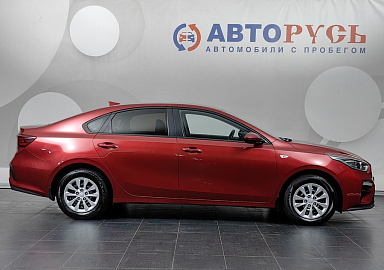 Cerato