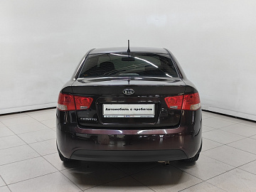 CERATO
