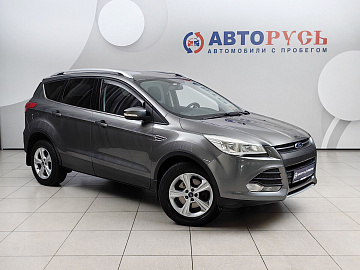 Kuga, II