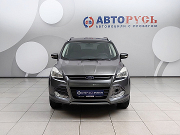Kuga