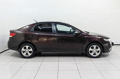 Cerato