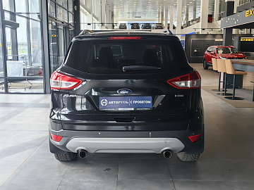 Kuga