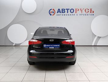 Cerato
