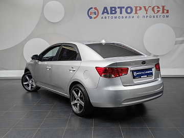 Cerato