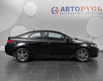 Cerato