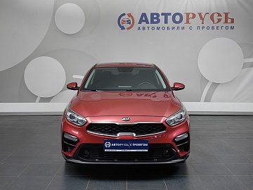 Cerato