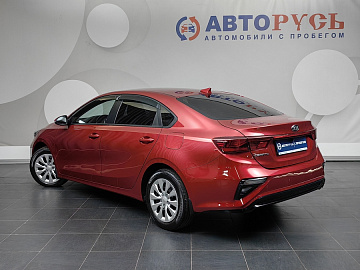 Cerato