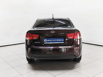 Cerato