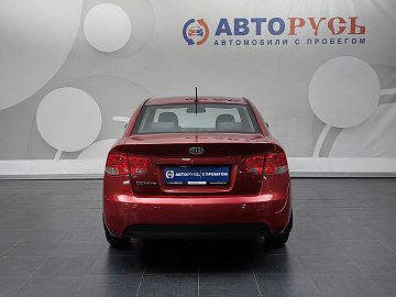 Cerato