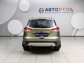 Kuga
