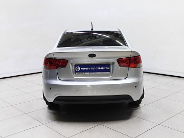 Cerato