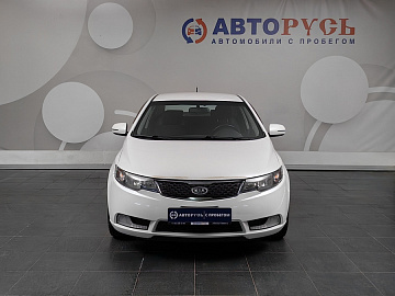 Cerato