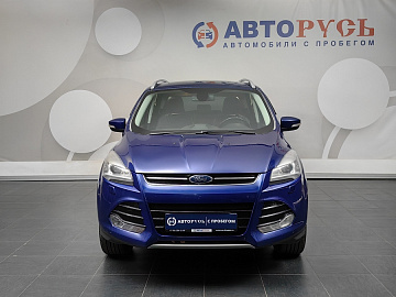 Kuga