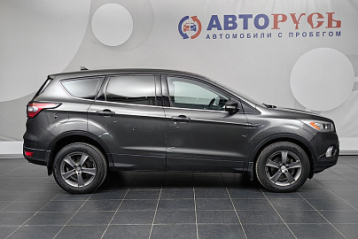 Kuga