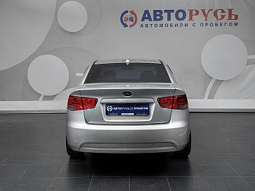 Cerato