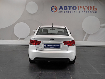 Cerato