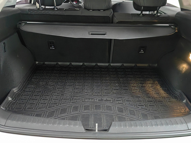 car 25