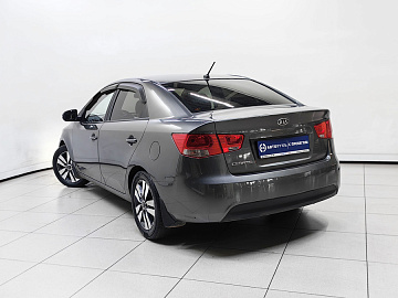 Cerato