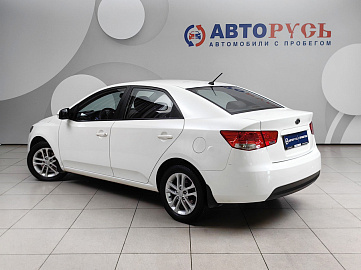 Cerato