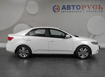 Cerato
