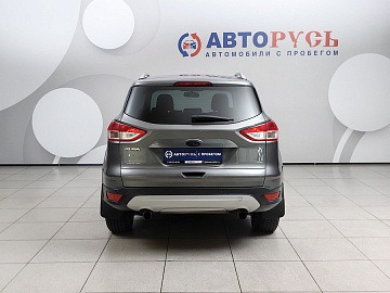 Kuga