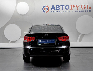 Cerato