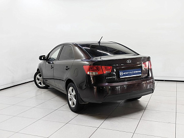 Cerato