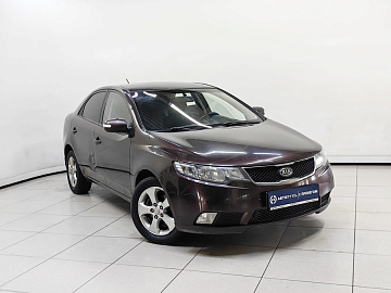 Cerato